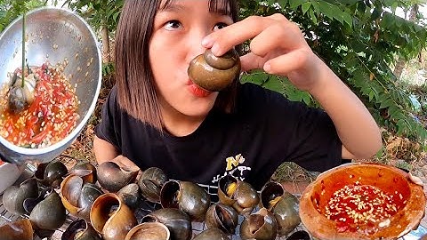 Ốc Bươu Nướng Muối Ớt Chấm Muối Ớt Huyền Thoại