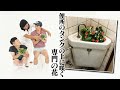 便所のタンクの上に咲く専門の花【ろばーとのうた】