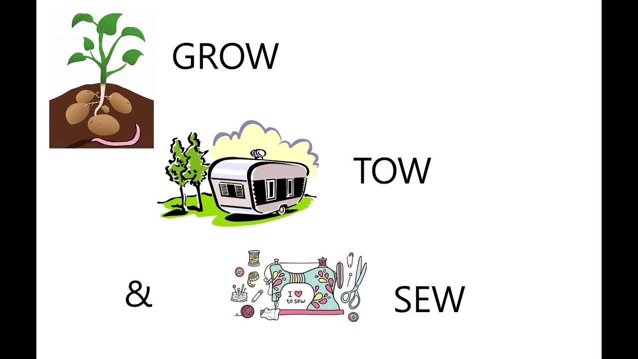 Caravan Basics on a service pitch