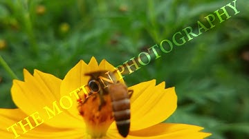 High-Quality AI  & ML Datasets for Computer Vision  Video Training #datasets #ai #ml #MLlearning #AI