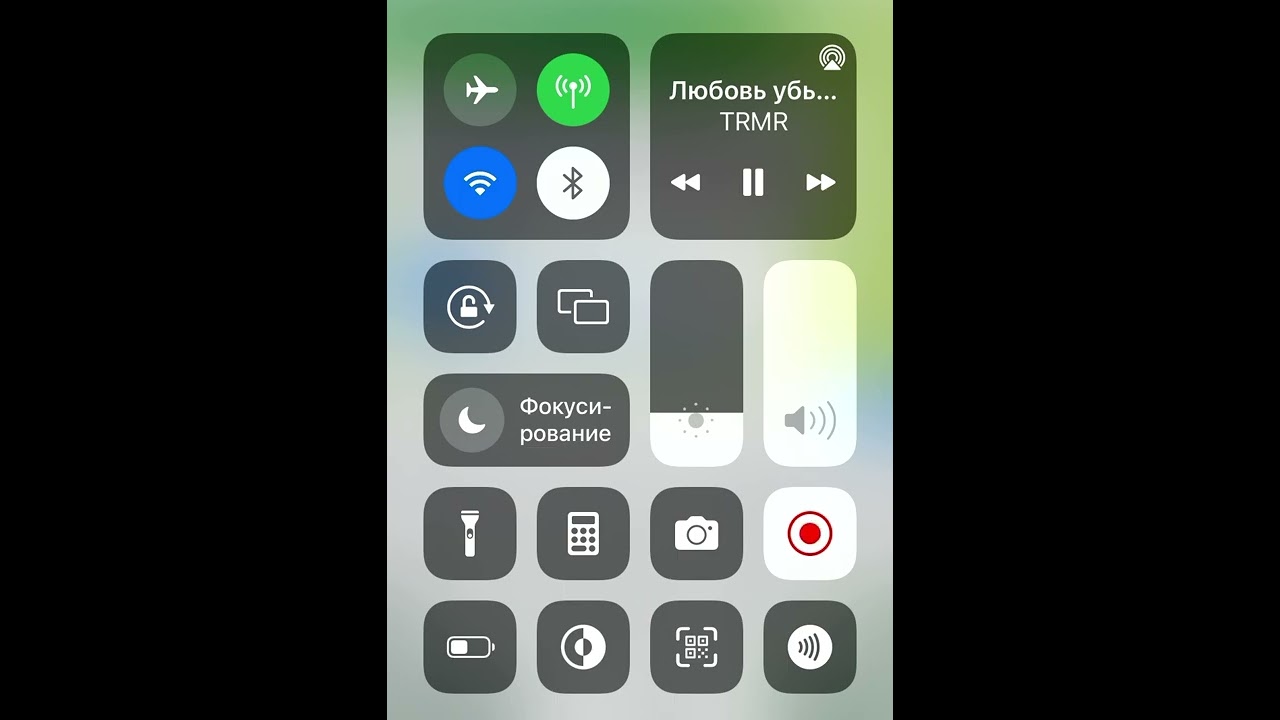 TRMR любовь убьет мир