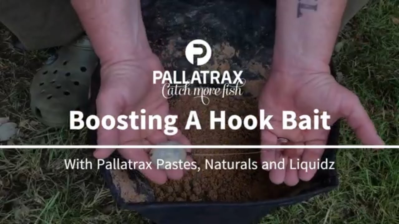 Boosting The Attraction To Your Carp Fishing Hook Bait YouTube