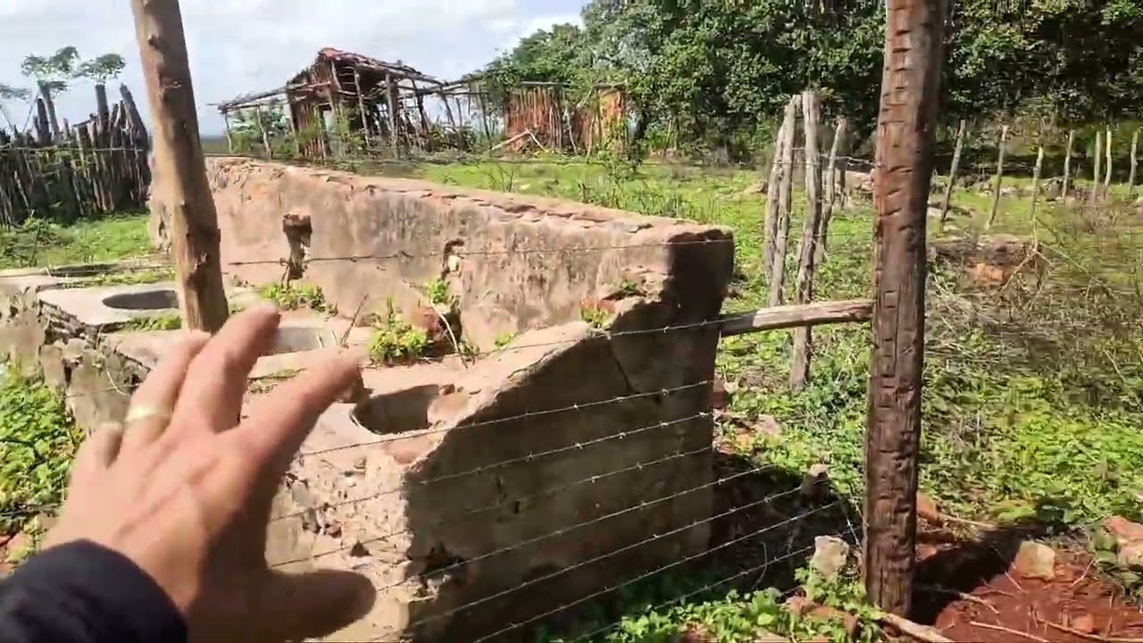 A CHUVA CHEGOU AGORA E A PLANTAÇÃO TA A TODO VAPOR 🌽🌽🌽!!!  