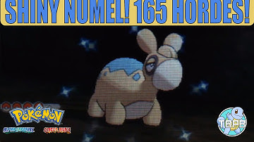 [LIVE] Shiny Numel after 165 Horde Encounters | ORAS | "Blumel the Numel"