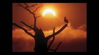 Frederic CHOPIN 8 preludes - Maurizio POLLINI