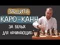 Защита Каро-Канн за белых для начинающих