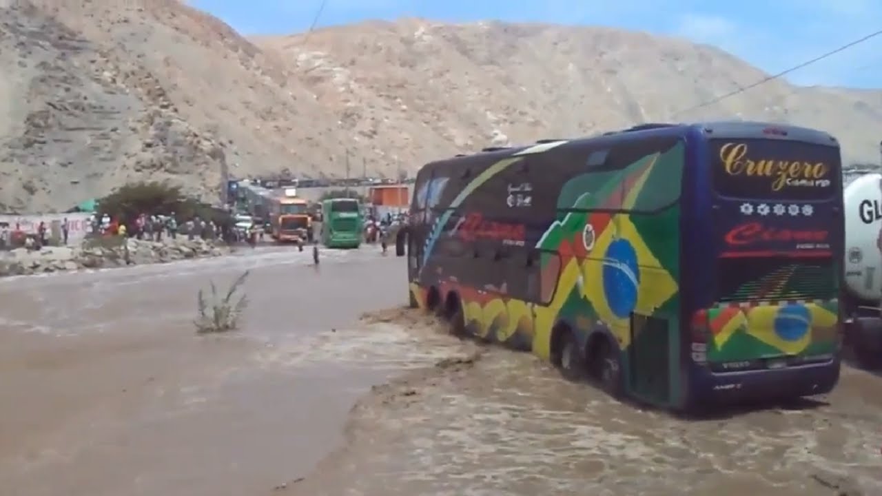 Buses Del Perú 2016 | HD