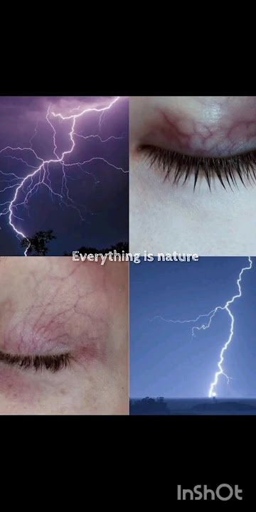 Everything is nature 🍃 #aesthetic #beauty #fypシ゚viral #nature