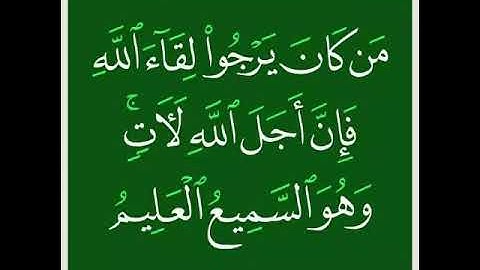 آية مؤثرة من سورة العنكبوت مقام النهاوند للقارئ علي هوبي