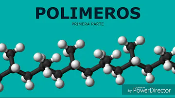 ¿Cuál es la diferencia entre un monómero y un polímero?