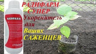 Радифарм - Супер Укоренитель для Ваших Саженцев