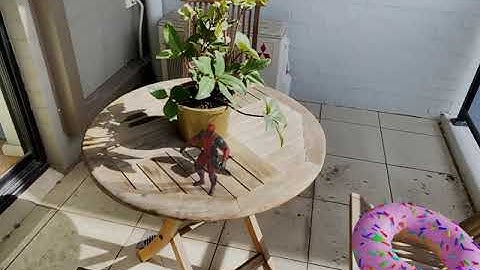 STUDY / Compositing Study With Blender and CamTrackAR App