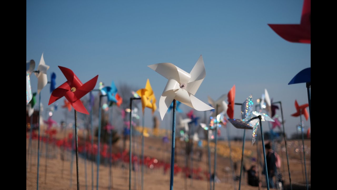 임진각 평화누리 바람개비 공원!!