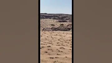 هذا نصيب من الحياه وقبلناه 