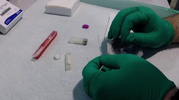 Loading Capillaries for Robotic Sample Changing at SSRL BL2-1