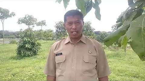 Testimoni Bapak Satawi TPA Supit Urang tentang Pak Sule