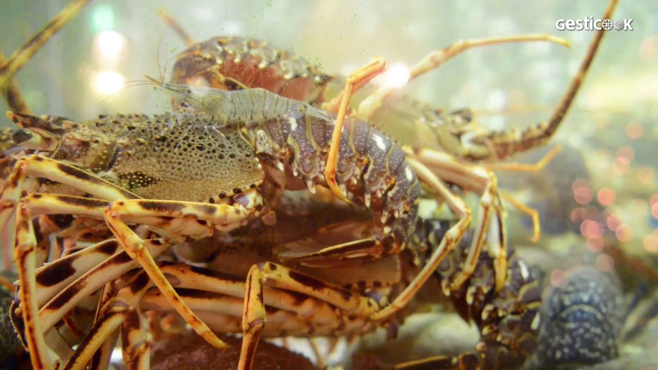 Porto Santa Maria & AdegaMãe