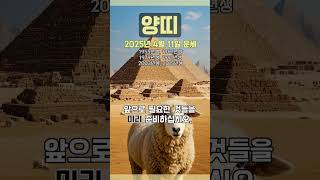 [2025년 4월 11일 양띠 오늘의운세] 서서히 자신에게 필요한 월동준비를 할 시기이다. #양띠 #운세 #…