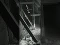 Cesis Liepa Haunted Two House Pictures Part 3