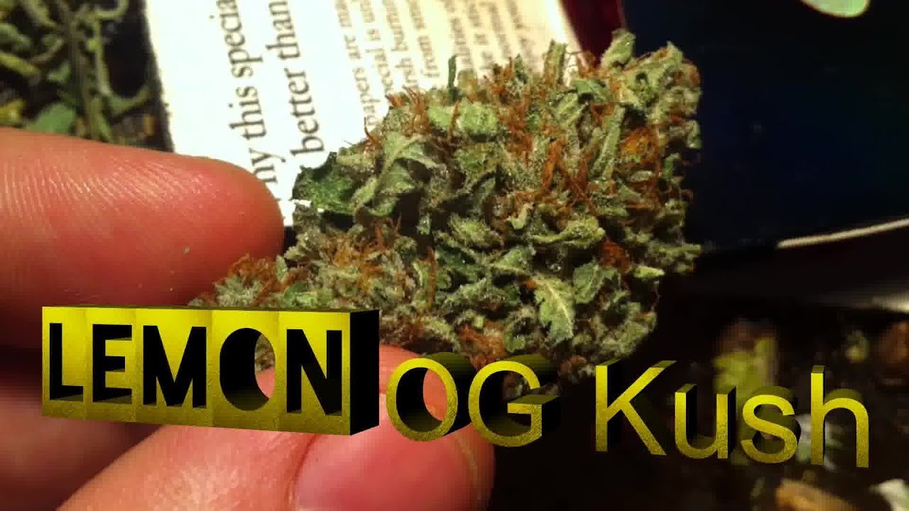 LEMON OG KUSH