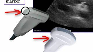 Introduction To Radiology Ultrasound