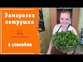 ЗАМОРОЗКА петрушки на зиму - 6 СПОСОБОВ / Как заморозить зелень в морозилке