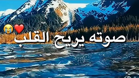 أرح قلبك -قرآن كريم بصوت ياسر الدوسري /حالات واتساب دينية /مقاطع دينية قصيرة /مقاطع إنستقرام دينية