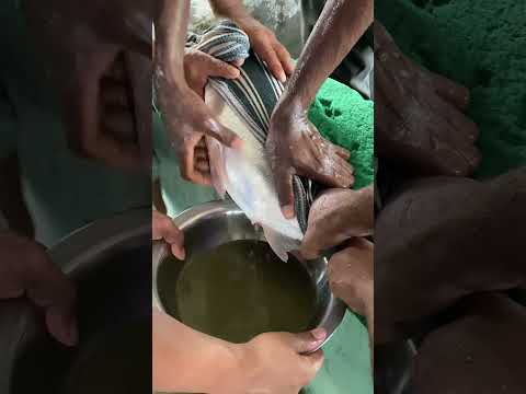 Fishing Master 159