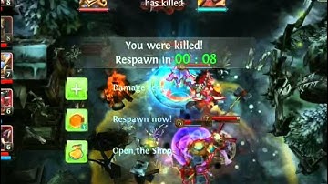 Heroes of Order and Chaos(HOC) Lu Yunfei... Luis that you??