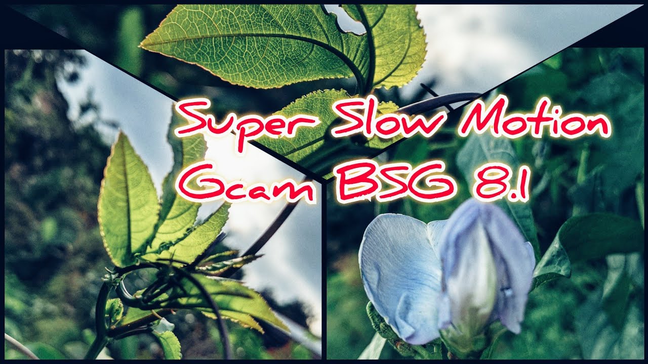 Super Slow Motion Gcam BSG 8.1 Mod YouTube