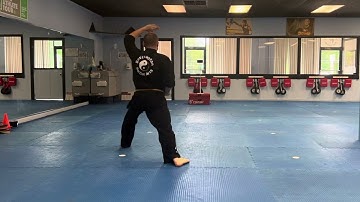 Pyong Ahn 1 Form (Back View)