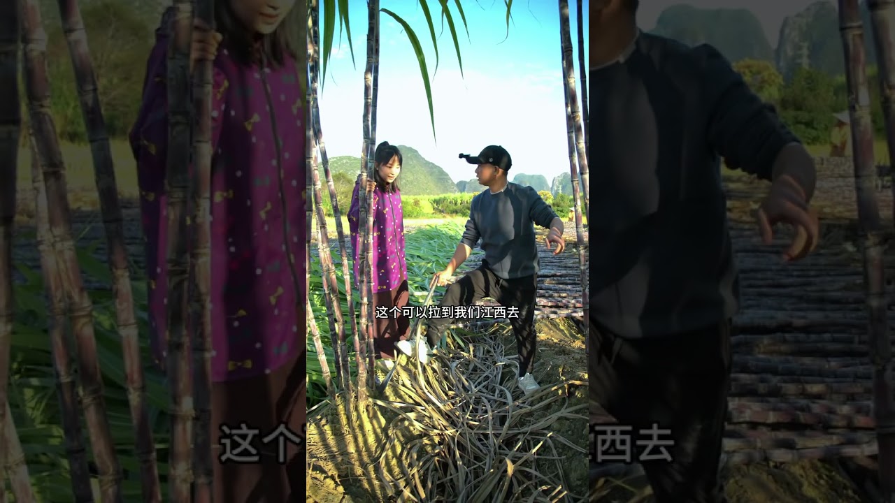 刚认的妹妹，家里有干不完的活，这大哥迟早要跑路 