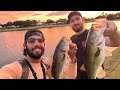 Golf course bass fishing insane top water frog bite