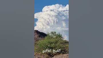 الشيخ القارئ / عبدالهادي كناكري
