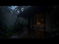Rain Sounds For Sleeping - 99% Instantly Fall Asleep With Gentle Night Rain White Noise Calm