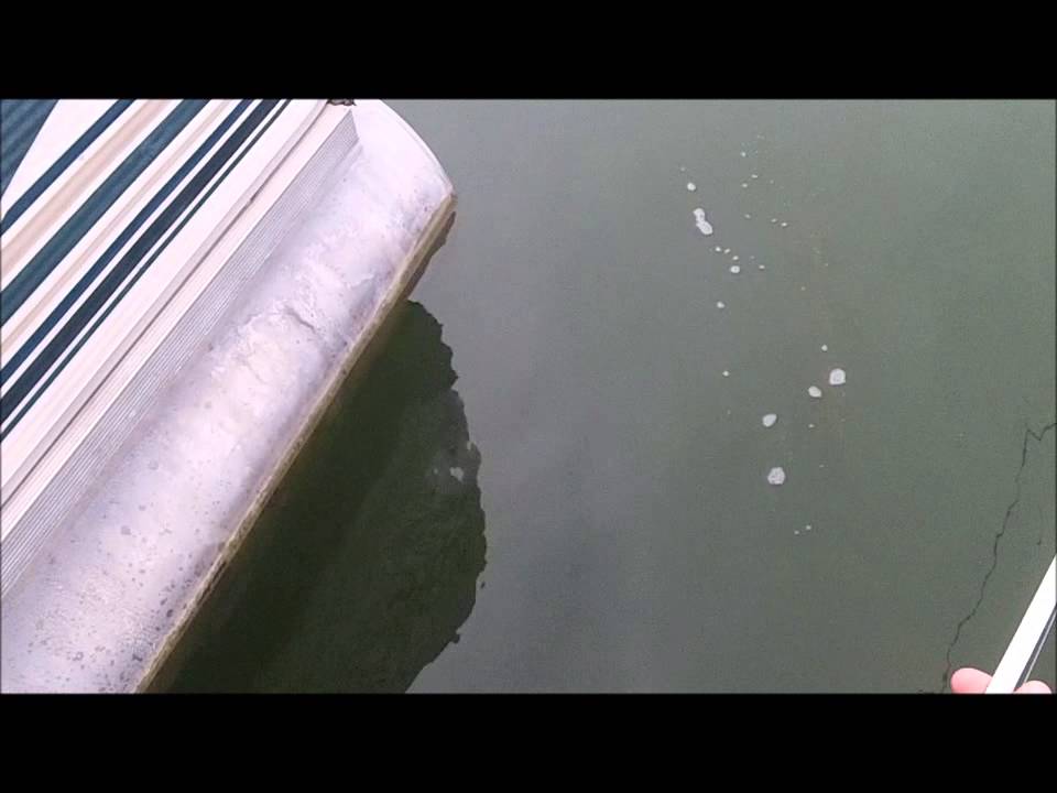 PTL catches my personal best bass!