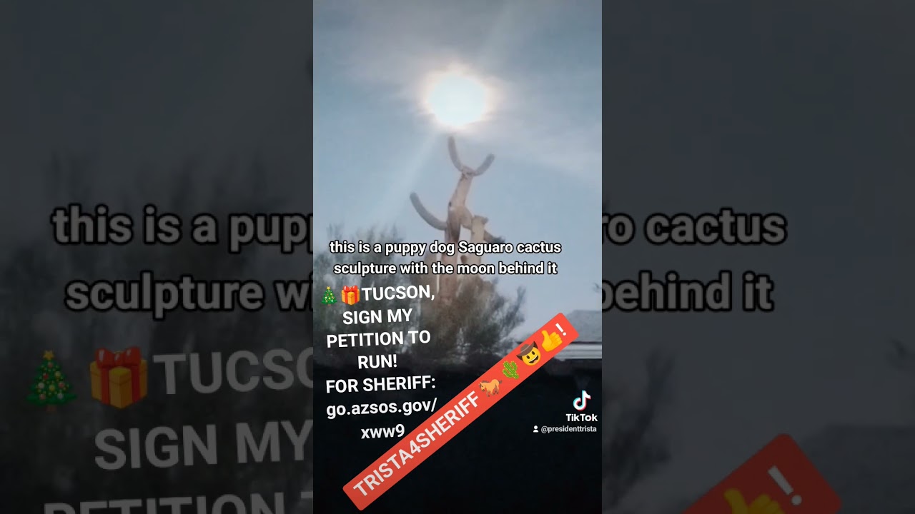 AMAZING PUPPYDOG SAGUARO STATUE IN 