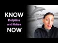 Know It Now: What do Dolphins have to do with Nuclear Weapons?