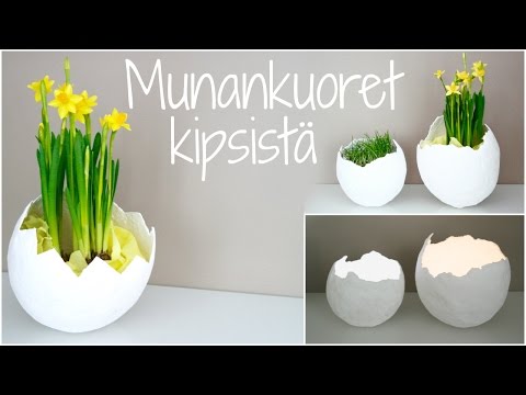 Video: Munankuoret Ihmelannoitteena