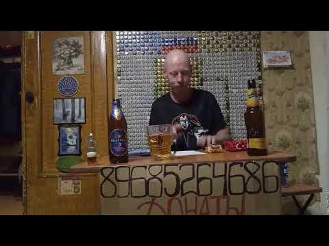стрим АлкоЮрец - YouTube