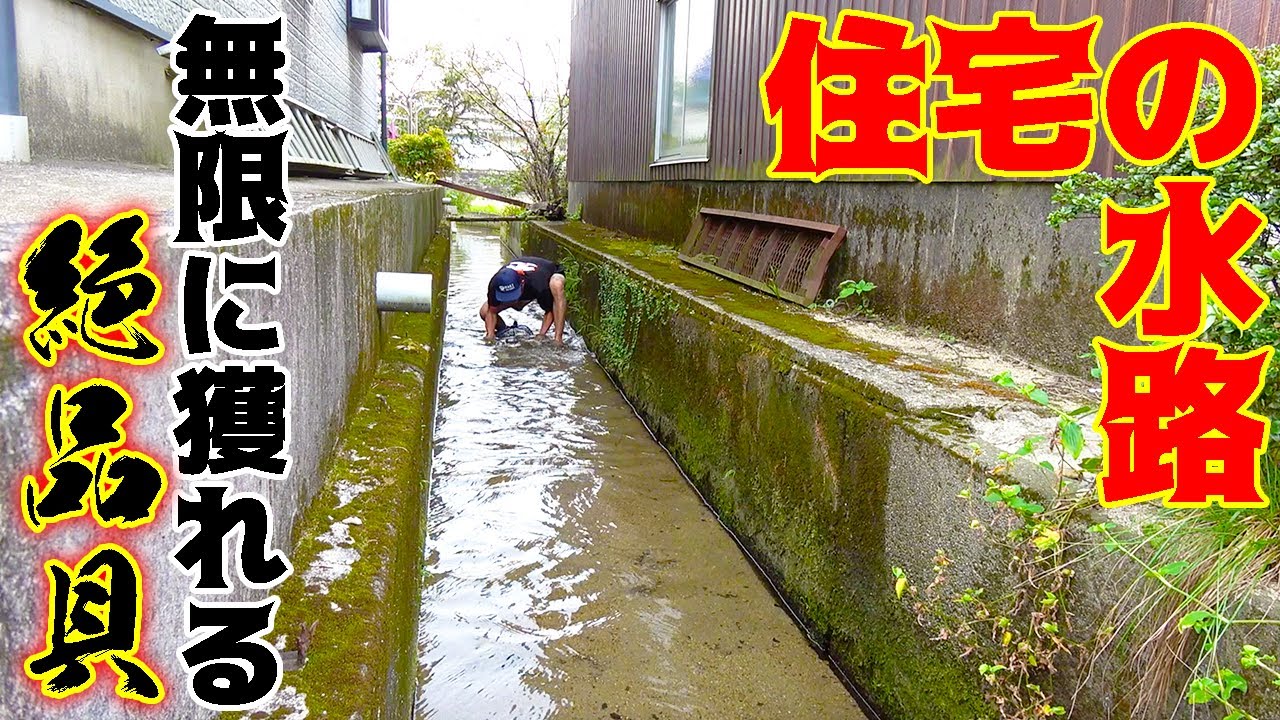 住宅の水路にこんな美味しい食べ物があるなんて！！