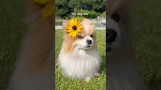 Hes Really Used To This Now.