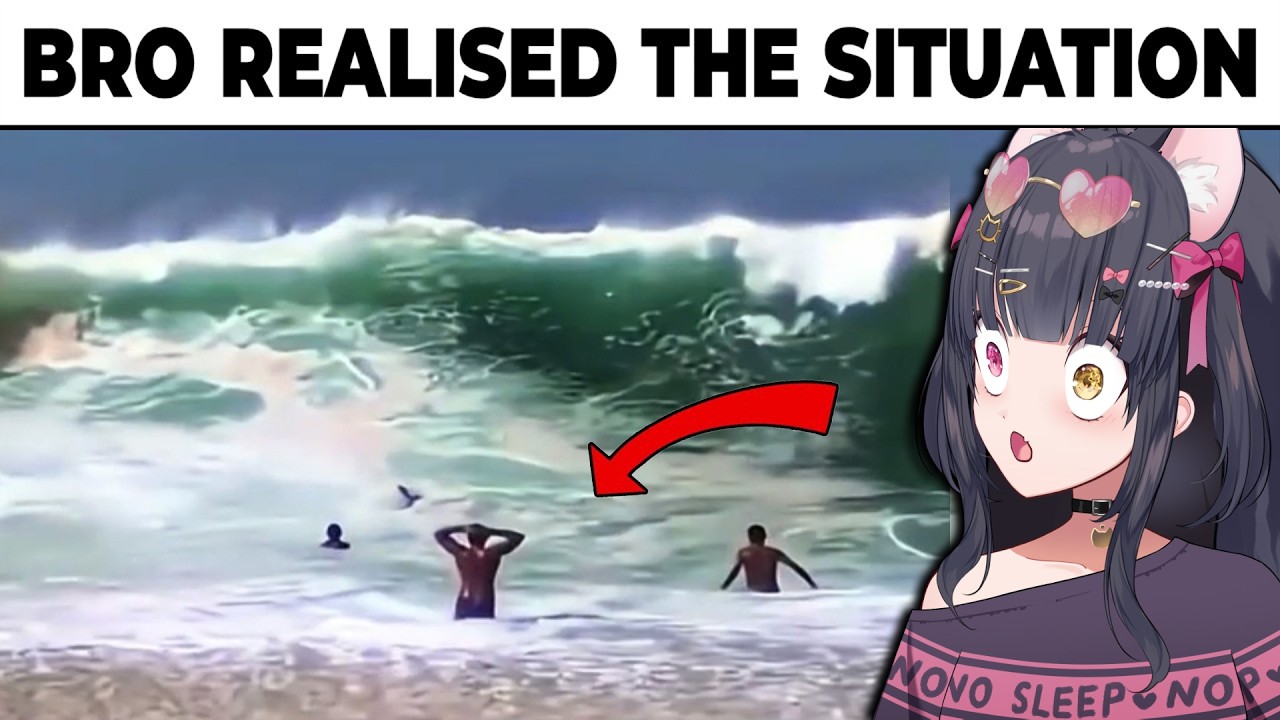 Reacting to MORE Funny Videos