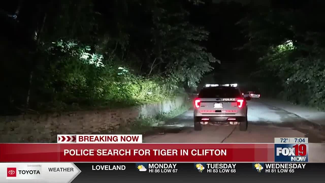 No tiger found on the loose in Cincinnati after possible sighting ...