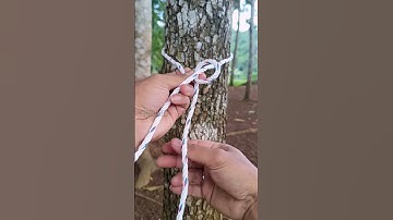 Simple Knot Tricks You Can Learn in Minutes”#KnotTutorial #a #rope #HowToTie #RopeSkills #KnotGuide