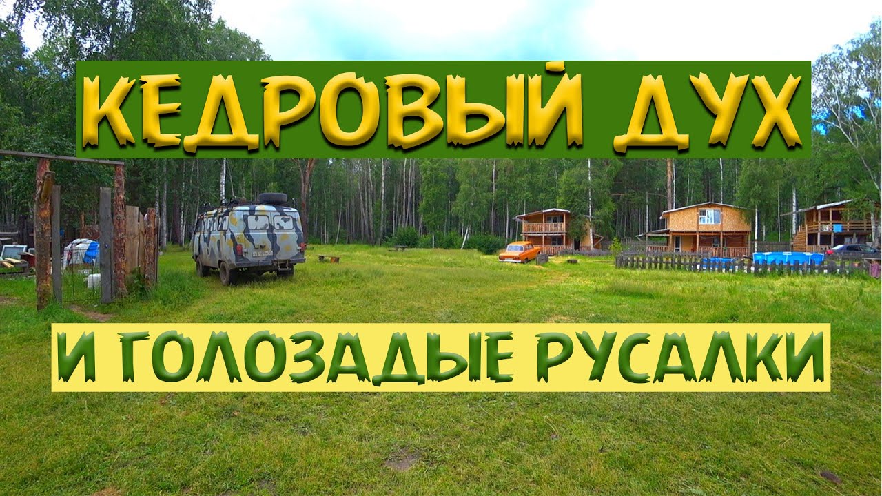 029.Озеро Данилово. Берег с кедровой баней. Едем из деревни Окунево ...