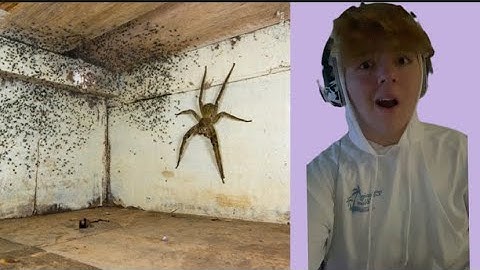 Try not to get scared challenge HUGE BUG EDITION!!!