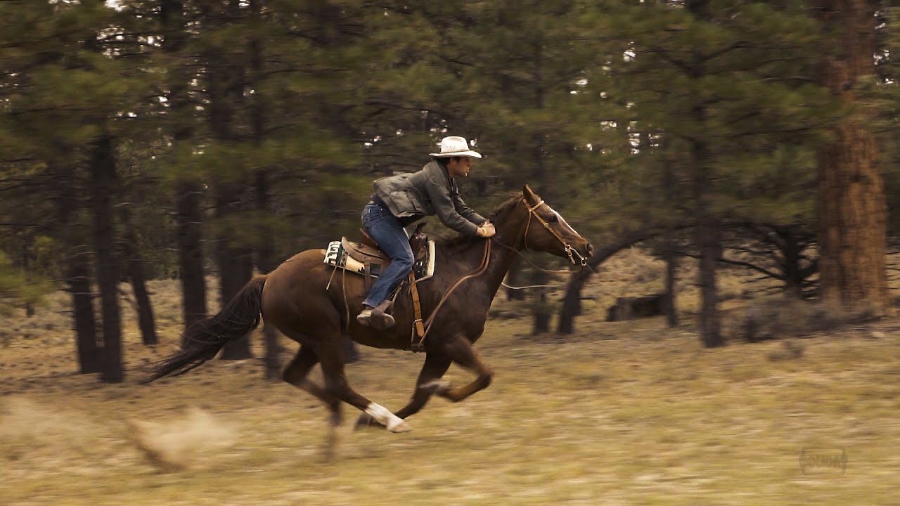 Traditional Mongolian Cavalry performing Horseback Archery .  Namnaa Academy  archers .