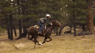 Horseback Riding near Bryce Canyon ~ Slow Motion