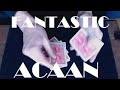 527 fantastic acaan explication